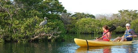 viaggo eco sostenibile in Ecuador, Amazzonia