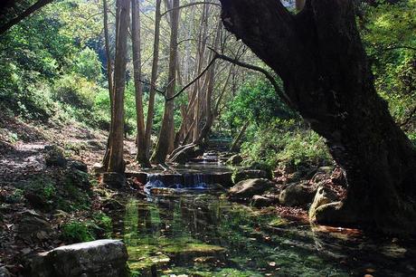 Sierra Gorda, Messico