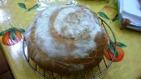 PANE DI FARRO CON ESUBERO DI PASTA MADRE