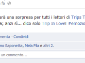 Siena turistica: video