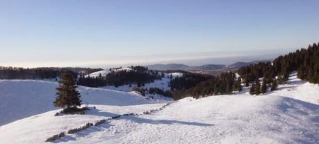 Escursione con le ciaspole (25/1, 2014)