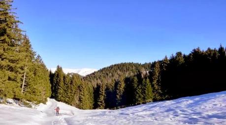 Escursione con le ciaspole (25/1, 2014)