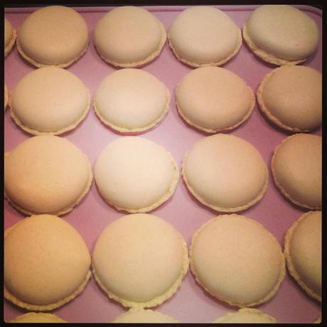 Macaron perfetti con la ricetta di José Maréchal