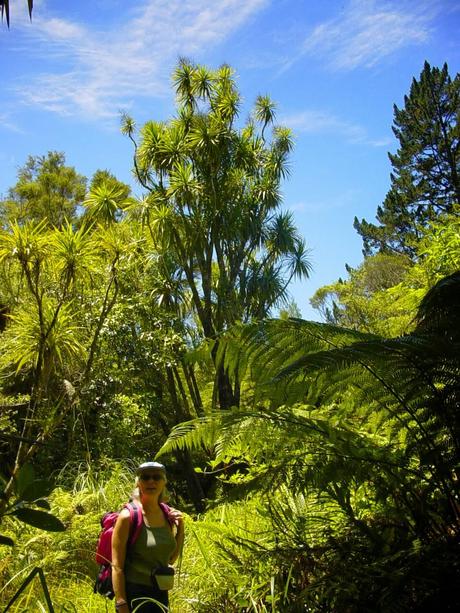 Sottosopra 2 - In Auto da Auckland a Coromandel e Ritorno