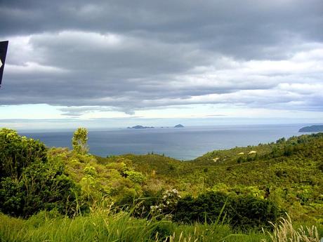 Sottosopra 2 - In Auto da Auckland a Coromandel e Ritorno