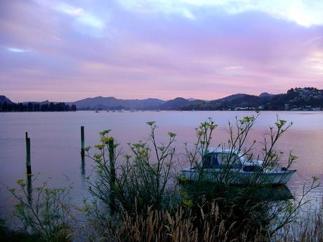 Sottosopra 2 - In Auto da Auckland a Coromandel e Ritorno