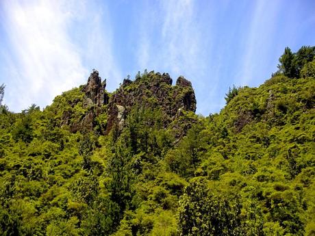 Sottosopra 2 - In Auto da Auckland a Coromandel e Ritorno