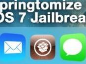 Springtomize aggiorna support