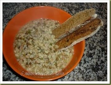 Zuppa rapida fantasia con crostini di pane integrale di farro (10)