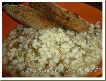 Zuppa rapida fantasia con crostini di pane integrale di farro (14)