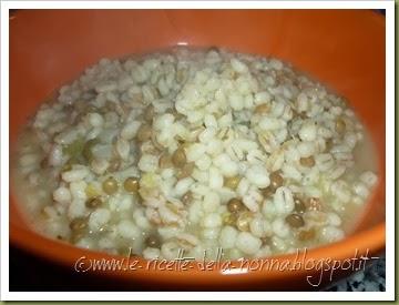 Zuppa rapida fantasia con crostini di pane integrale di farro (9)