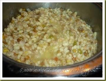 Zuppa rapida fantasia con crostini di pane integrale di farro (7)