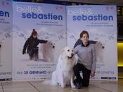 Belle Sebastien, cinema