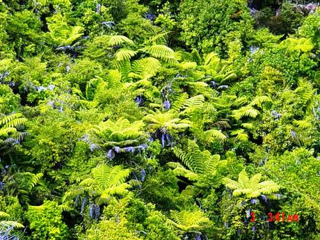 Sottosopra 3: Viaggio agli Antipodi (da Abel Tasman N.P. a Queenstown)