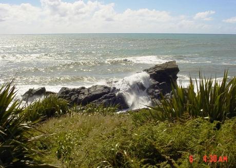 Sottosopra 3: Viaggio agli Antipodi (da Abel Tasman N.P. a Queenstown)