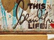 Beautiful Life