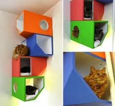 2 progetti fai-da-te in cucina