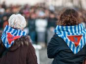 Tema: Vilma, memoria rosso
