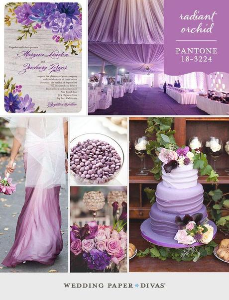 Radiant Orchid Matrimonio Wedding Lilla 