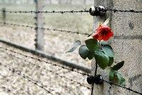 Giornata della Memoria 2014 - Tutti i programmi tv in ricordo dell'Olocausto