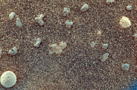 Rocce simili a mirtilli fotografate da Opportunity. Questa scoperta a sorpresa ha portato gli scienziati, negli ultimi dieci anni, a teorizzare che queste inclusioni di ematite sferiche sono state originate dal passato umido di Marte o sono nate dopo un'intensa attività vulcanica. Crediti: NASA / JPL-CALTECH
