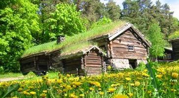 Oggi nella mia rubrica: un giardino sul tetto, tradizione norvegese