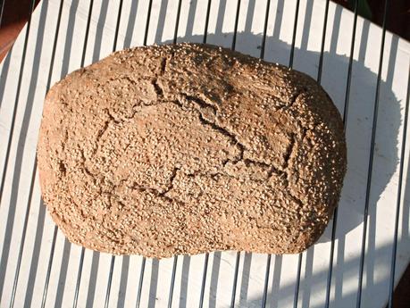 The bread is on the fridge..ancora pane ma con farina di grano saraceno e sesamo!