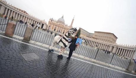 Cosa ci fa una zebra nel centro di Roma?