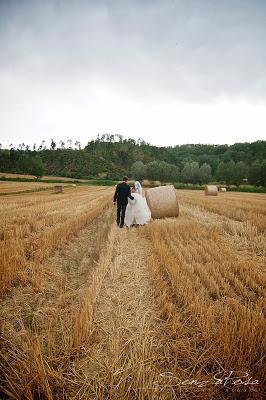 matrimonio 