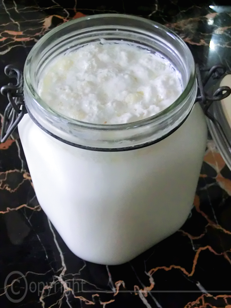 Come si può preparare il Kefir in casa