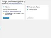 Google Publisher: primo plugin WordPress