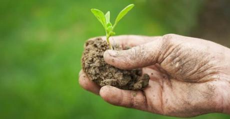 Il futuro della gestione del rischio in agricoltura tra cambiamenti climatici e muova PAC