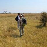 Safari Australe Ovest #4: a bordo dei mokoro sull’Okavango