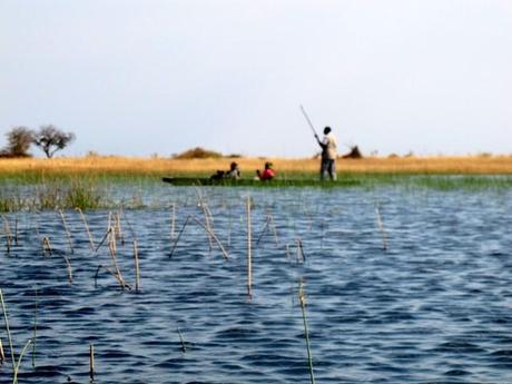 Okavango - Botswana