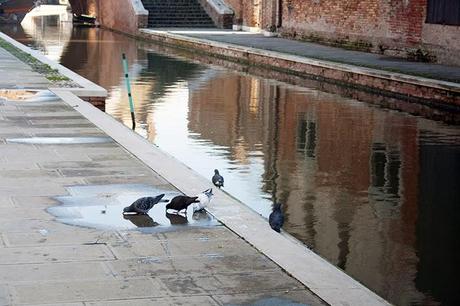 Comacchio, la piccola Venezia e Porto Garibaldi