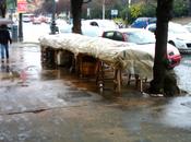 prezioso suolo pubblico capitale europea regalato prende. Testaccio bancarella libri fatta cassette frutta, manco tempo guerra