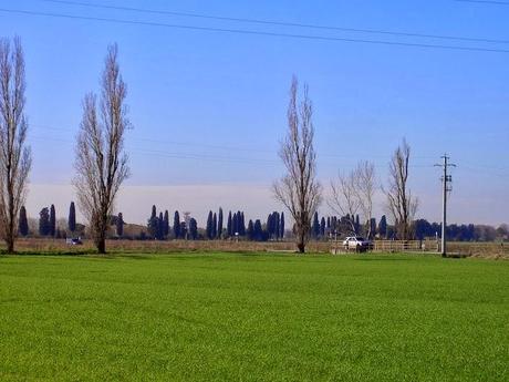 un fine settimana lungo e pisano (soprattutto di 'ampagna)PARTE*PRIMA