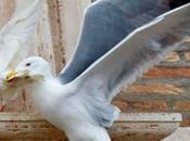 Oscuri presagi? nuovi Aruspici della fotocamera digitale