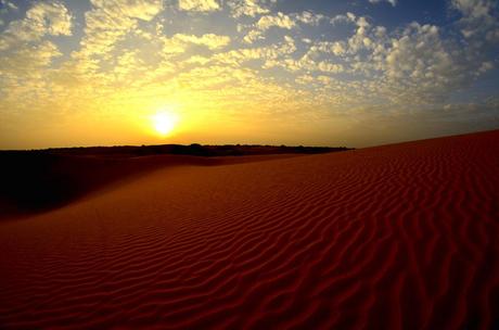 A Cammello Sul Deserto del Thar (Foto)