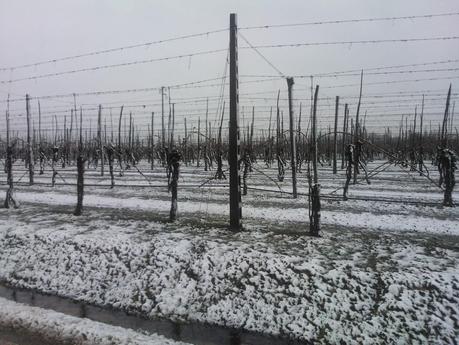 IL SILENZIO DELLA NEVE