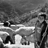 Nepal, un giardino da esplorare tra le cime dell’Himalaya