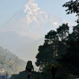 Nepal, un giardino da esplorare tra le cime dell’Himalaya