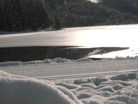 Il viaggio continua. Pensieri d'inverno