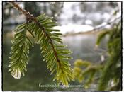 viaggio continua. Pensieri d'inverno