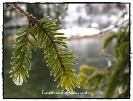 Il viaggio continua. Pensieri d'inverno