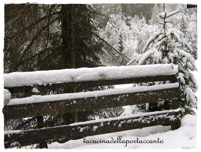 Il viaggio continua. Pensieri d'inverno