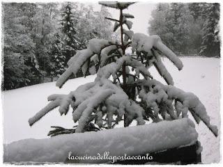 Il viaggio continua. Pensieri d'inverno