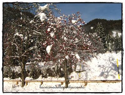 Il viaggio continua. Pensieri d'inverno