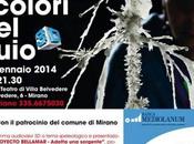 COLORI BUIO Mirano (VE)