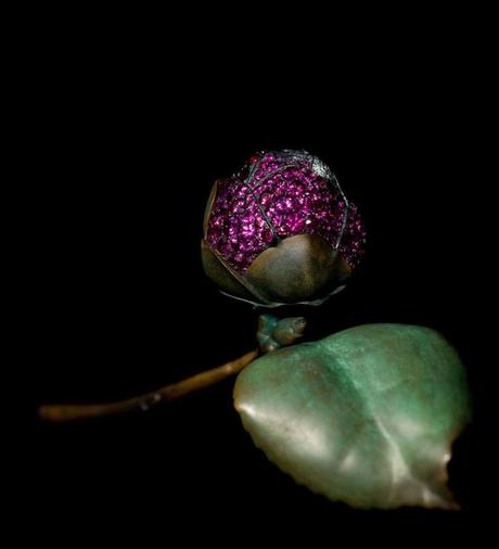 10.-Camellia-Brooch-2010_JAR-Photograph-by-Katharina-Faerber-Courtesy-of-JAR_-Paris-1